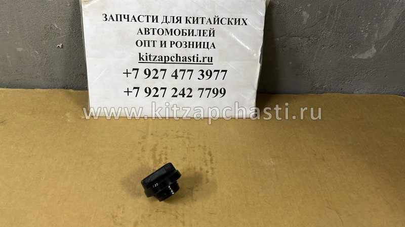 Крышка маслозаливной горловины Great Wall HOVER H6 (БЕНЗИН) 1003520A-EG01T